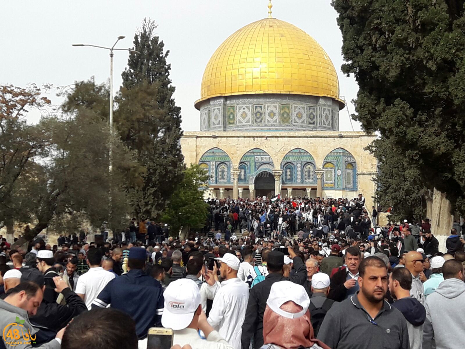 aqsa masirate (1).jpg